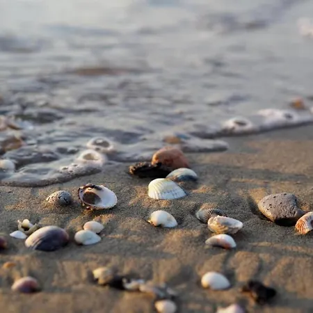 Lejlighed In Caorle Near Seabeach